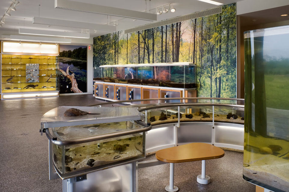 South Fork Natural History Museum & Nature Center